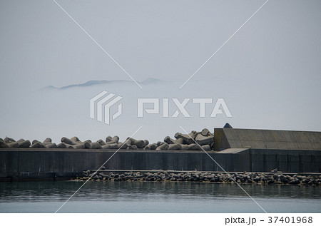 堤防の風景 堤防の風景 37401968