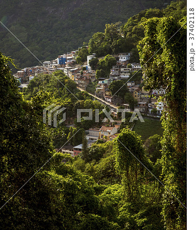 Favela in Rio de Janeiro, Brazil Favela in Rio de Janeiro, Brazil 37402118