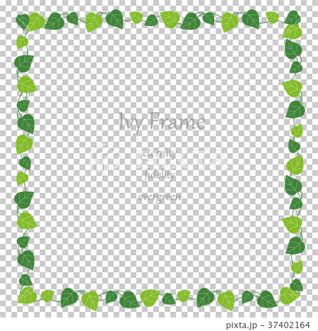 Ivy square frame 37402164