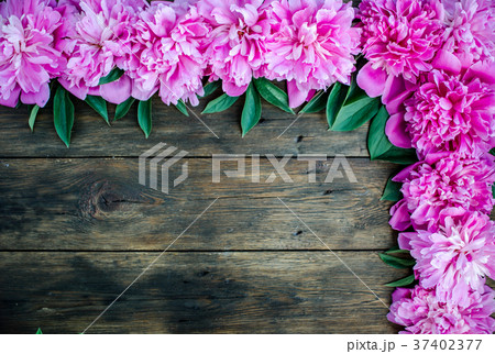 Floral pink peonies flowers on wood background. Floral pink peonies flowers on wood background. 37402377