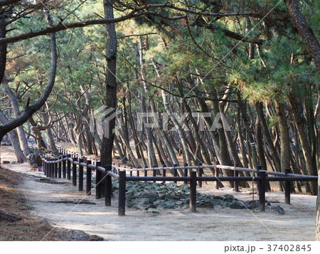 元寇防塁 37402845