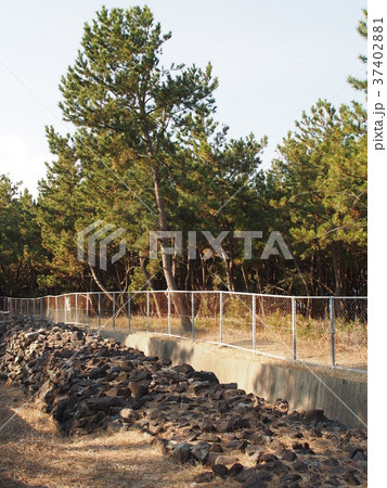 元寇防塁 37402881