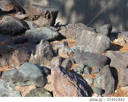 元寇防塁 37402882