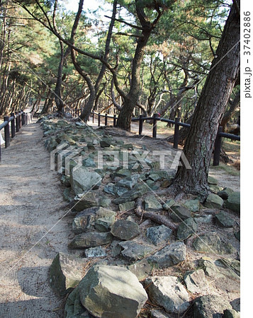 元寇防塁 37402886