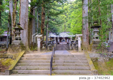 三夜沢赤城神社拝殿 三夜沢赤城神社拝殿 37402962
