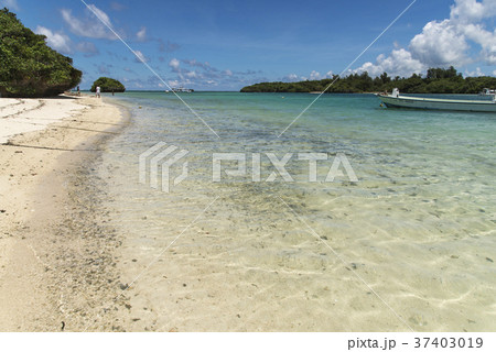 川平湾(石垣島) 川平湾(石垣島) 37403019
