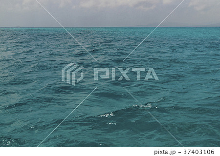 黒島 (沖縄県竹富町)の風景 37403106