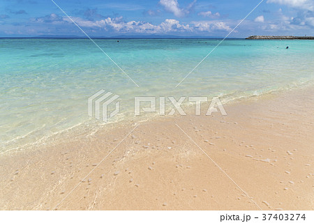 ニシハマ(波照間島) ニシハマ(波照間島) 37403274