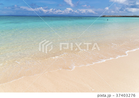 ニシハマ(波照間島) ニシハマ(波照間島) 37403276