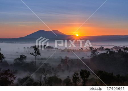 Morning fog in the mountain. 37403665