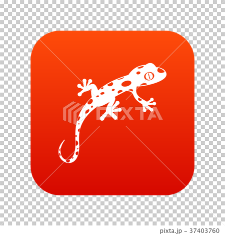 Chameleon icon digital red Chameleon icon digital red 37403760