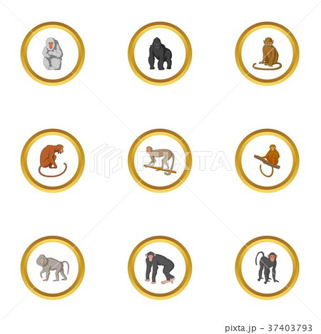 Zoo monkey icons set, cartoon style 37403793