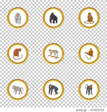 Zoo monkey icons set, cartoon style 37403793