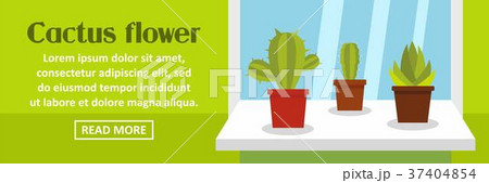 Cactus flower banner horizontal concept 37404854