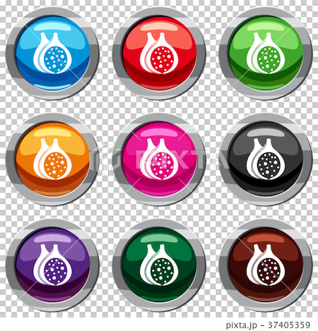 Fig fruit set 9 collection 37405359