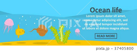 Ocean life banner horizontal concept 37405800