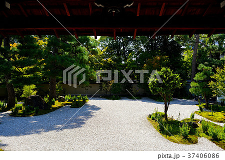 晩夏の京都廬山寺 37406086
