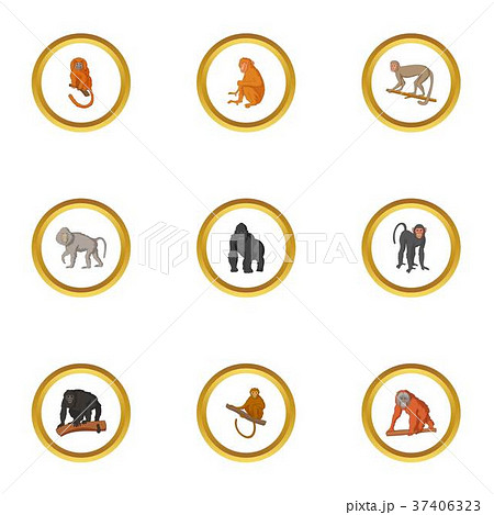 Ape icons set, cartoon style 37406323
