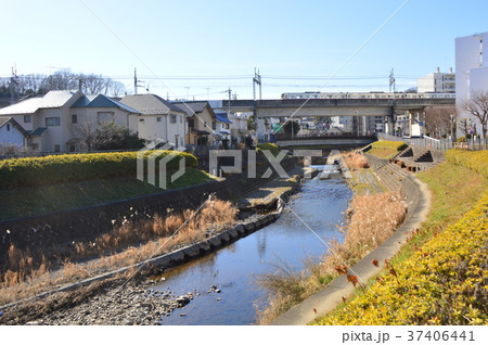 湯殿川の晩秋は　八王子市 37406441