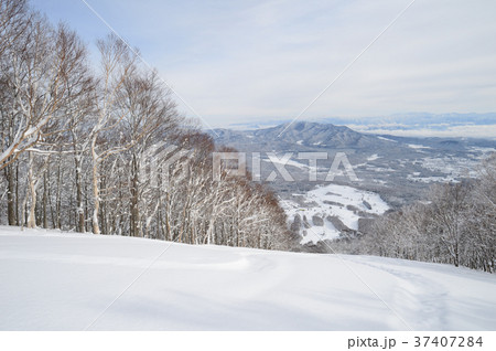 長野県　信濃町　冬 37407284