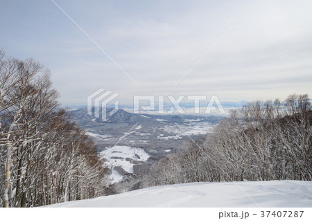 長野県　信濃町　冬 37407287