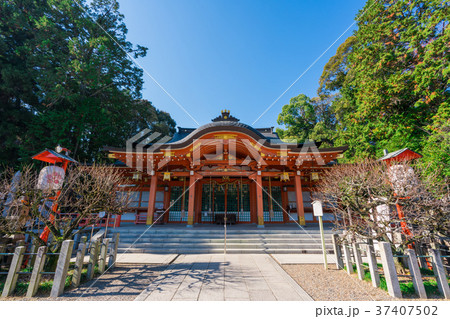 長岡天満宮 長岡天満宮 37407502