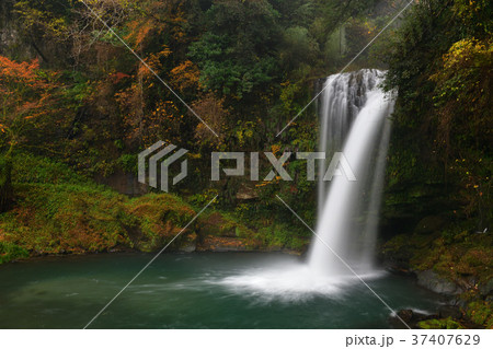 秋の慈恩の滝 37407629