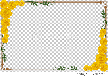 Yellow rose frame sideways 37407743
