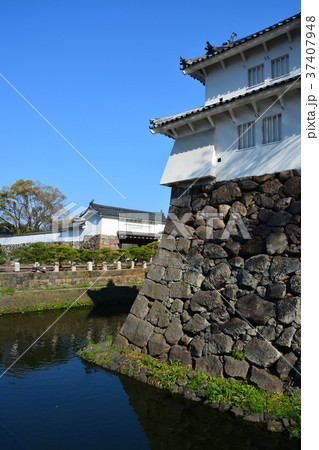 春の府内城址　大分城址 37407948