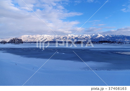 冬の阿賀野市・瓢湖 37408163