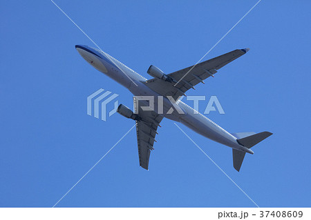 飛行機の離陸 飛行機の離陸 37408609