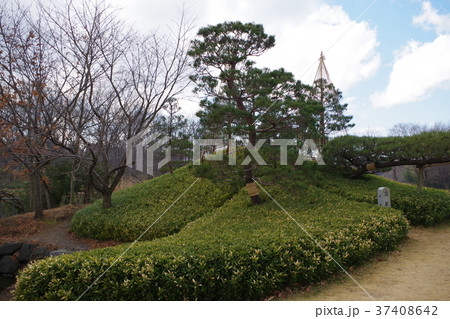 古河総合公園 37408642