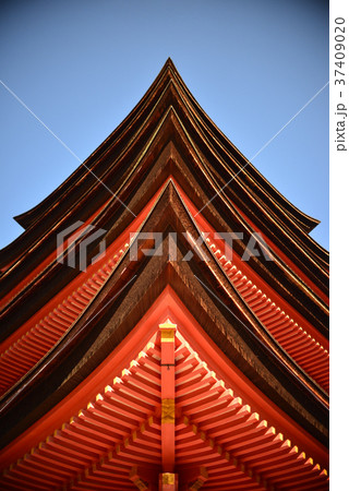 厳島神社の五重塔 37409020