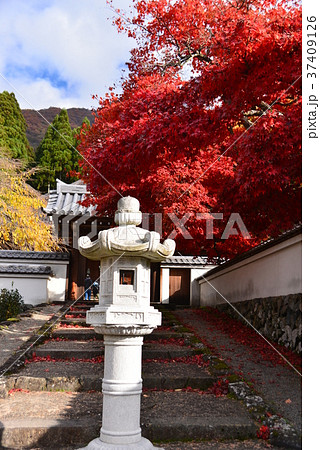 清水寺本堂入口 清水寺本堂入口 37409126