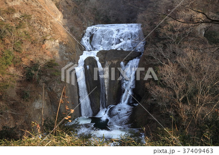 冬の袋田の滝 37409463
