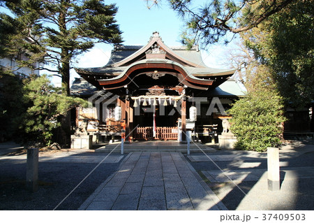 新熊野神社 37409503