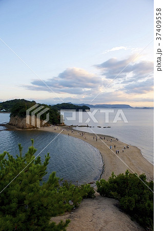 夕暮れのエンジェルロード（小豆島） 37409558