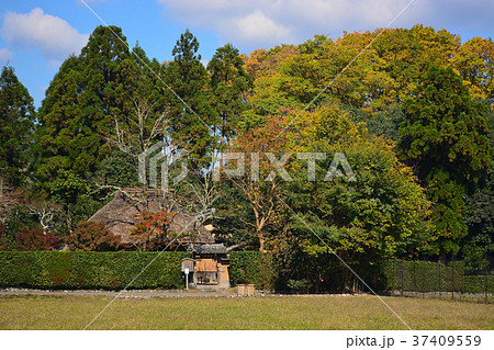 初秋の落柿舎 初秋の落柿舎 37409559