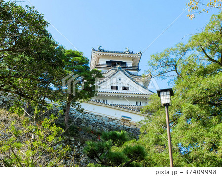 高知城 高知城 37409998