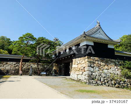 高知城と追手門 37410167