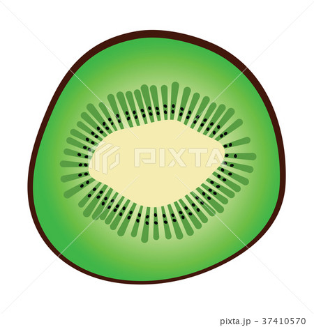 Flat design icon of Kiwi in ui colors. Flat design icon of Kiwi in ui colors. 37410570