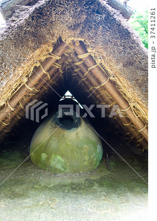 新池ハニワ工場公園 新池ハニワ工場公園 37411261