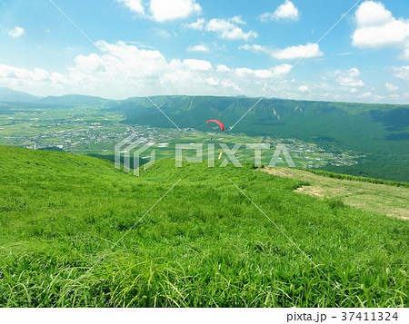 大観峰でパラグライダー 大観峰でパラグライダー 37411324