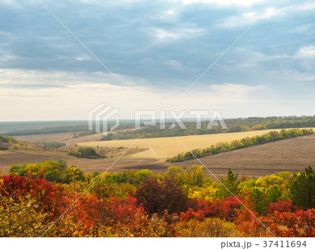 Colorful autumn landscape with views of the 37411694