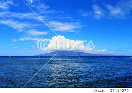 マウイ maui ラナイ島 lanai マウイ maui ラナイ島 lanai 37414079