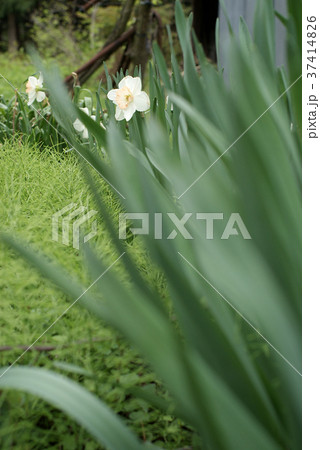 板井原集落 37414826