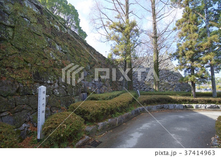 熊本県八代市の八代城跡 37414963