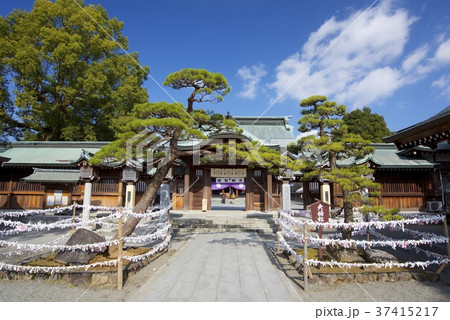 熊本県八代市の八代宮 37415217