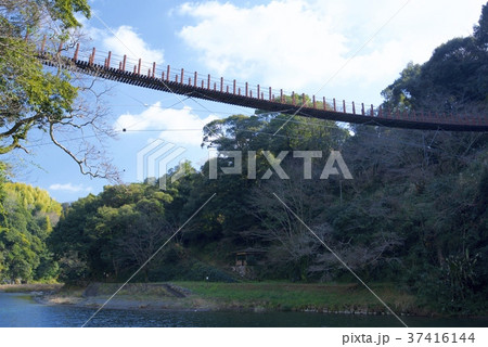 熊本県八代郡氷川町の立神峡 熊本県八代郡氷川町の立神峡 37416144