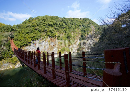 熊本県八代郡氷川町の立神峡 熊本県八代郡氷川町の立神峡 37416150